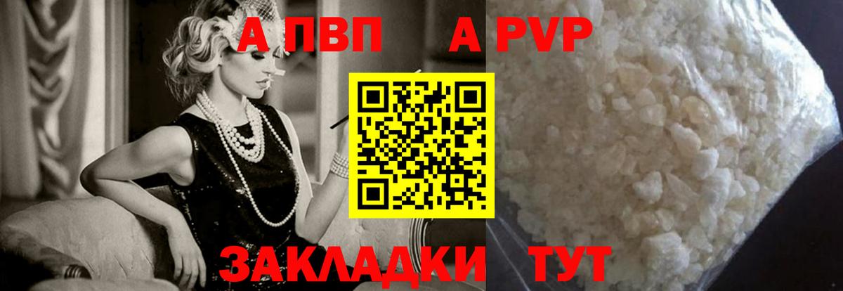 A PVP СК КРИС Сыктывкар