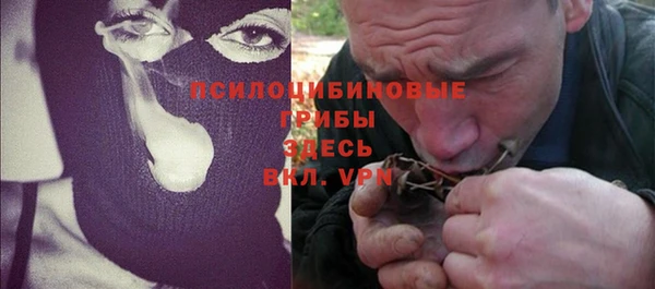 ГАЛЛЮЦИНОГЕННЫЕ ГРИБЫ Новокубанск