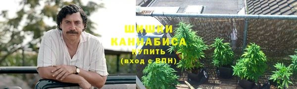 мдма Новозыбков