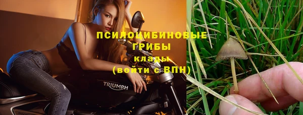 spice Нея