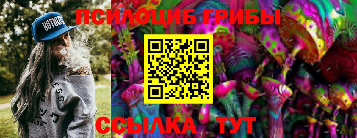 Псилоцибиновые грибы мицелий Сыктывкар