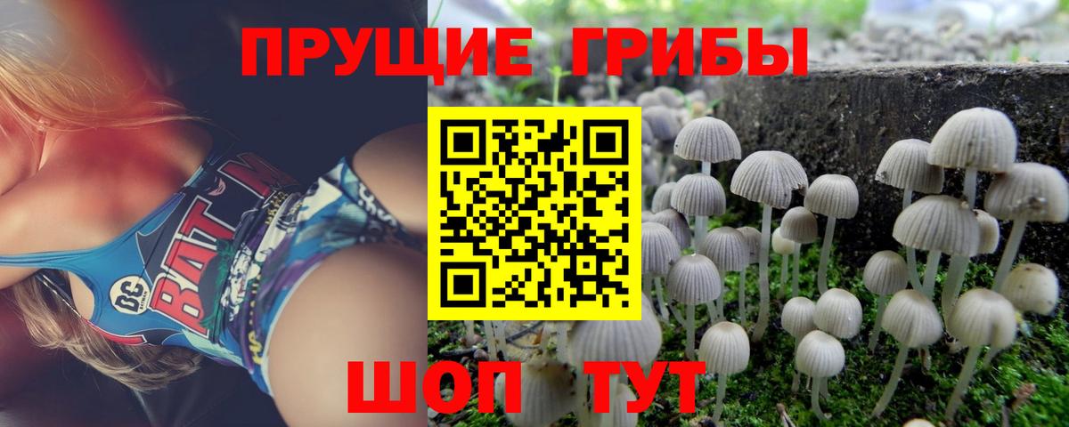Псилоцибиновые грибы мухоморы  Вход с VPN  Сыктывкар 