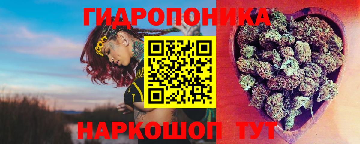 МАРИХУАНА ГИДРОПОН Сыктывкар